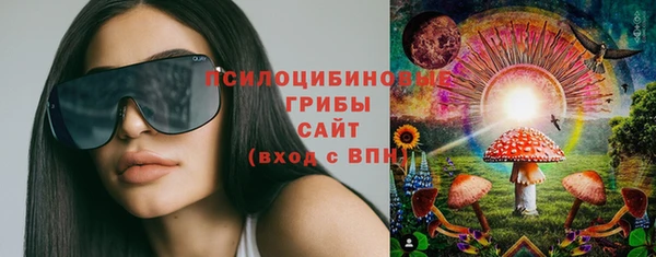 a pvp Медногорск