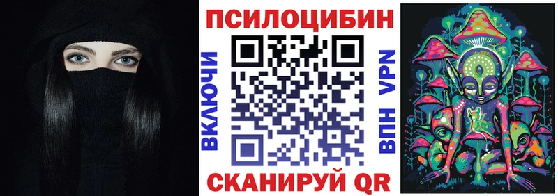 Купить  Кирс  Псилоцибиновые грибы GOLDEN TEACHER 